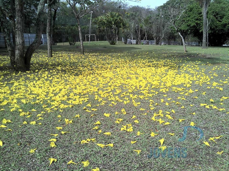 Clínica em Taubaté - São Paulo