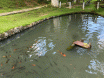 Clínica em Embu Guaçu São Paulo