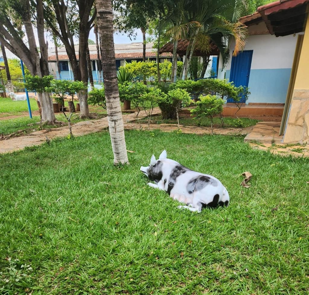 Clnica de Drogas e lcool e Instituto Casa do Pai