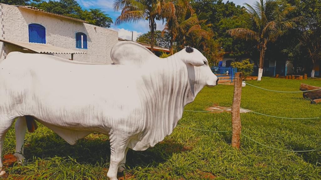 Clínica de Drogas e Álcool e Instituto Casa do Pai