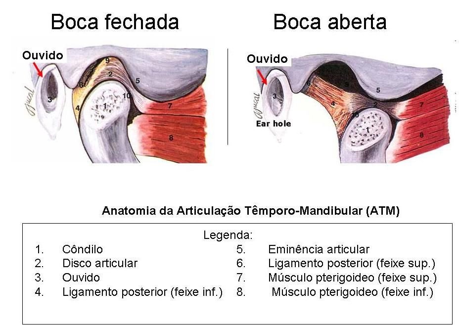 Dr. Jener Alvarenga