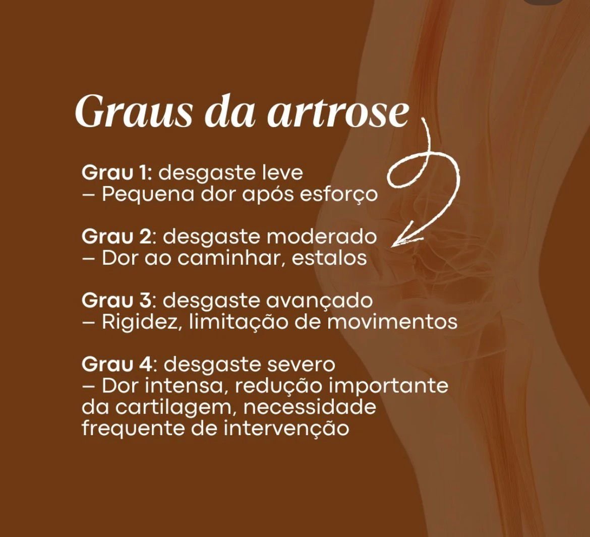 Dr. Leonardo Fernandes