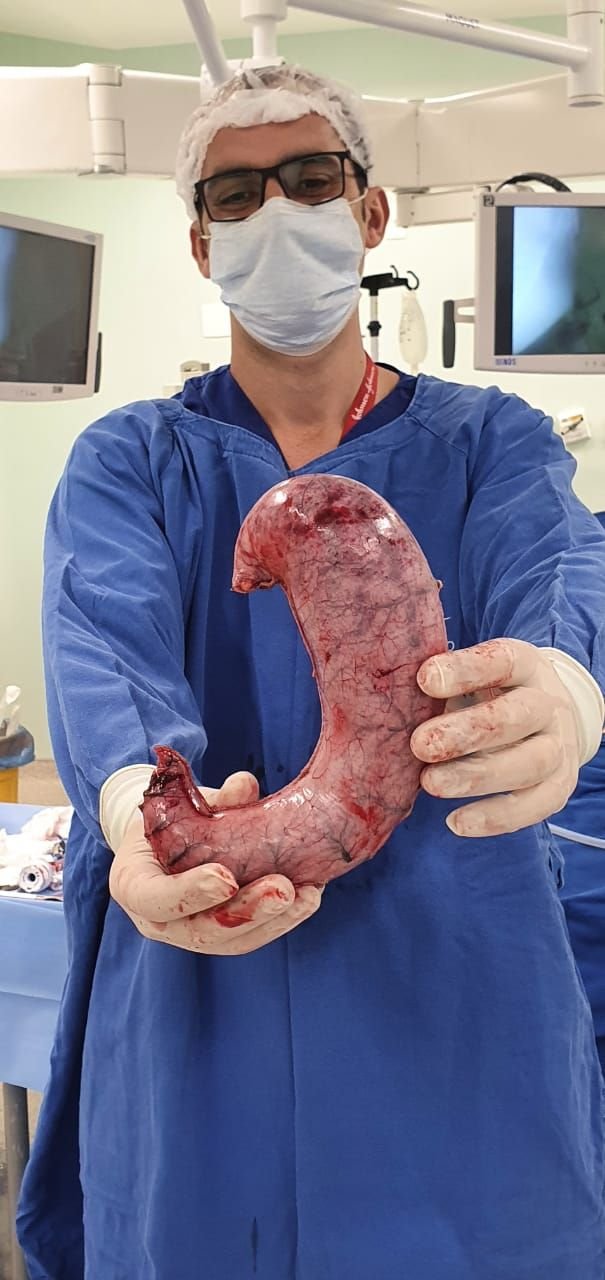 Dr. Pablo Nelson do Valle Hubner