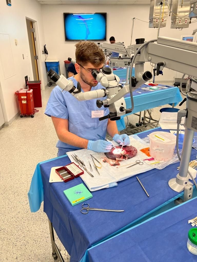 Dr. Matheus Moreli Porceban
