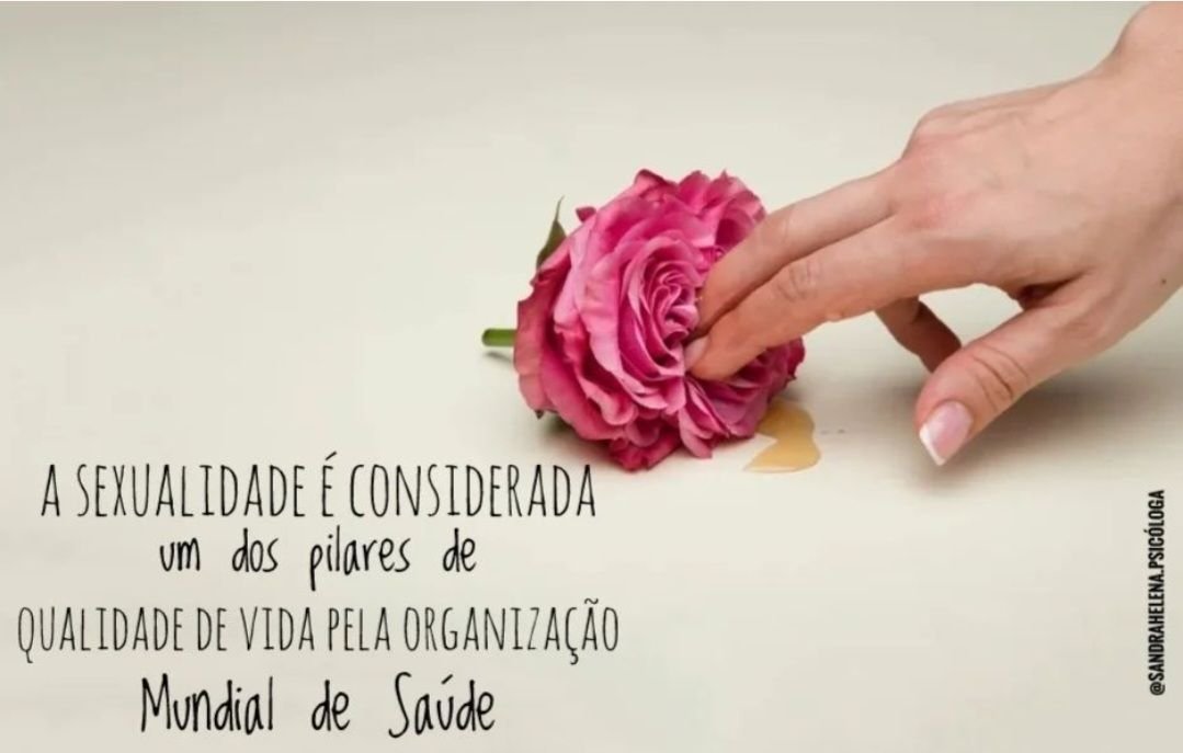Sandra Helena O. Silva