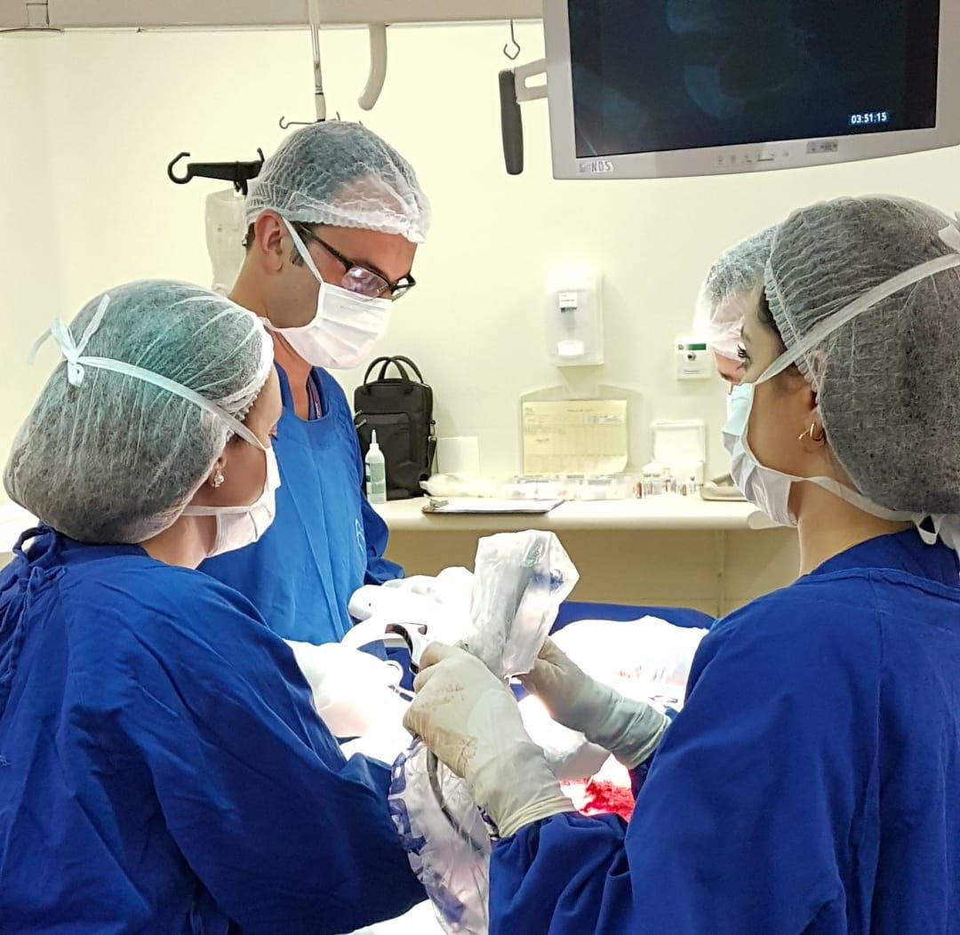 Dr. Pablo Nelson do Valle Hubner