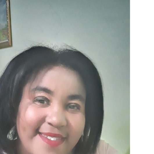 Rosilene Gomes Pereira
