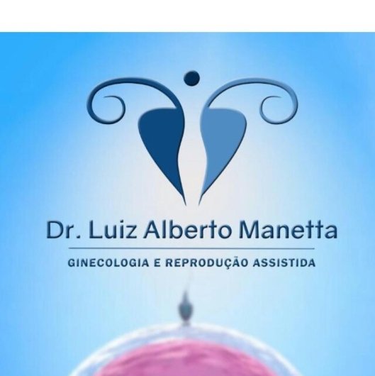Prof. Luiz Alberto Manetta
