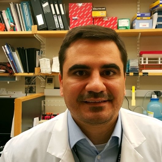 Dr. Felipe von Glehn