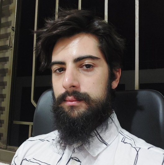 Erik Brian Bregoci Silva