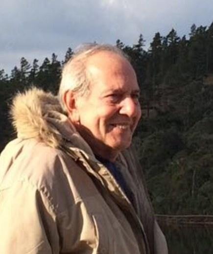 Luiz Antonio Vieira Bastos