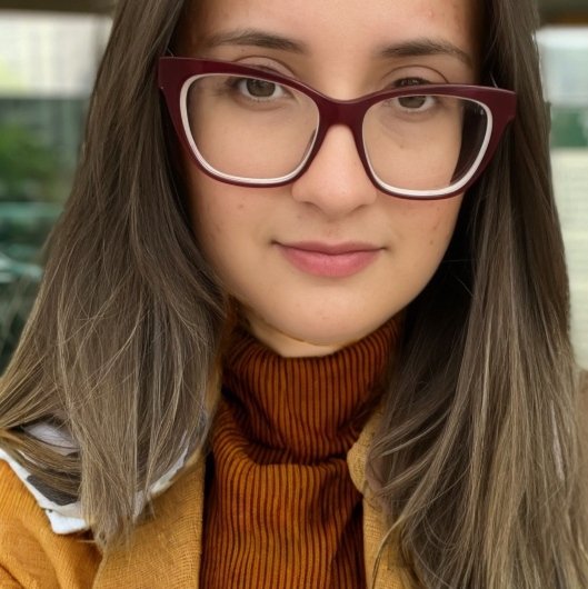 Larissa Lacerda Diniz