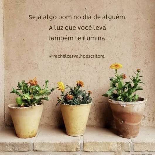 Dra. Eliane Montes