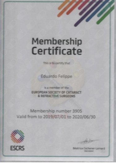 Dr. Eduardo Pesarini Felippe