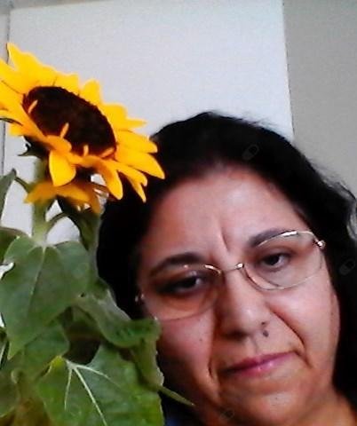 Rosa Maria Pereira Fernandes