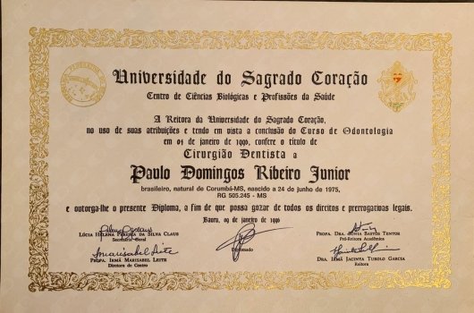 Dr. Paulo Domingos Ribeiro Junior