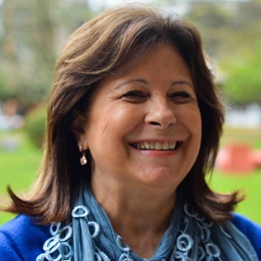 Dra. Vera Regina Ramires