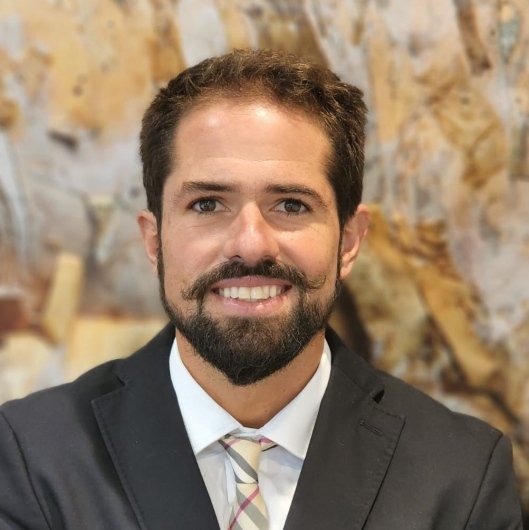 Dr. Ronaldo Borges Mendes
