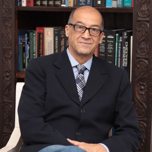 Prof. Ronaldo Guimarães Fonseca