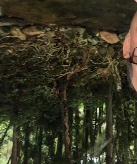 Protasio Cardoso da Silva Junior