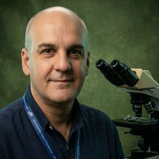 Prof. Adelmo Henrique Daumas Gabriel