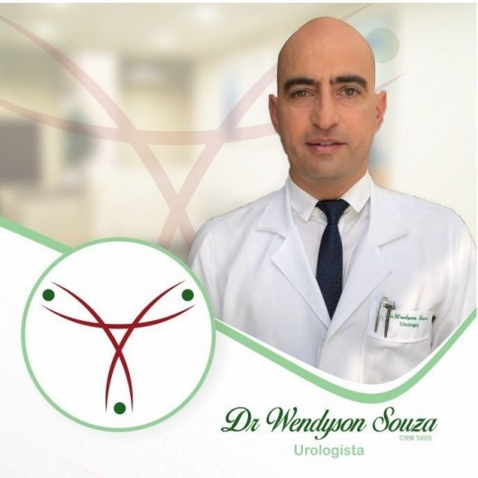 Prof. Wendyson Souza