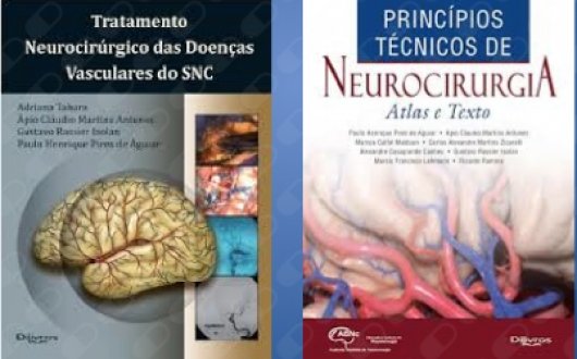 Prof. Gustavo Rassier Isolan