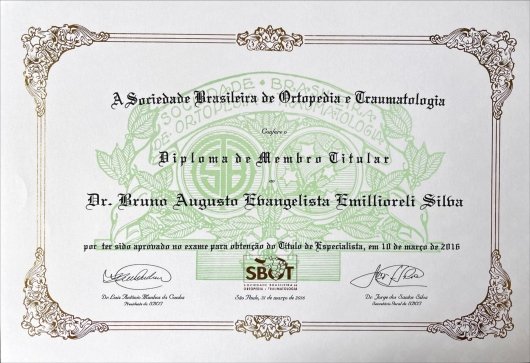 Dr. Bruno Augusto Emiliorelli