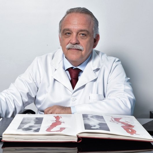 Prof. Honório Palma