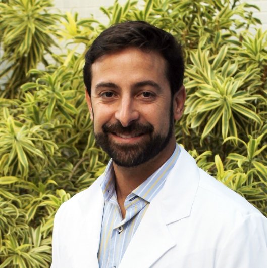 Dr. Breno Dauster