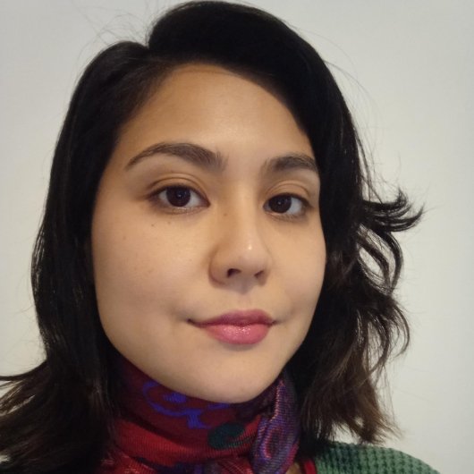 Nara Akemi Hokama Penteado Alves