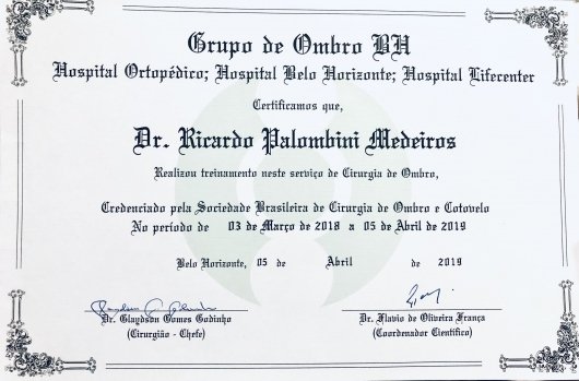 Dr. Ricardo Palombini Medeiros