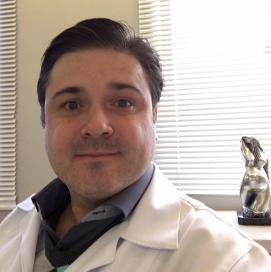 Dr. Luiz Roberto Eisenberg Pires
