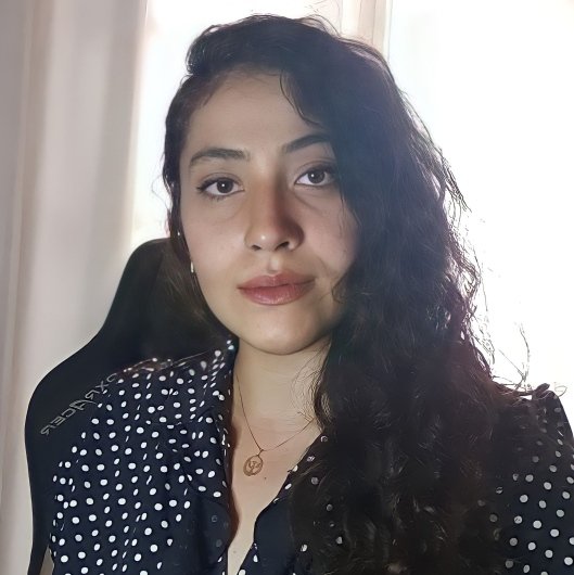 Bruna Higa D'Ajuz De Brito