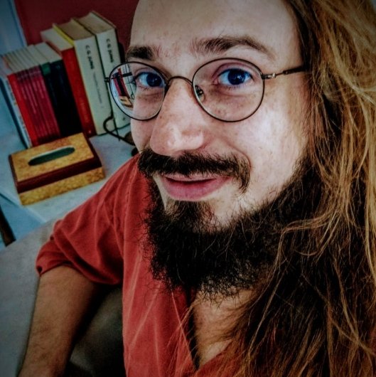 Pedro P. de A. Chaves