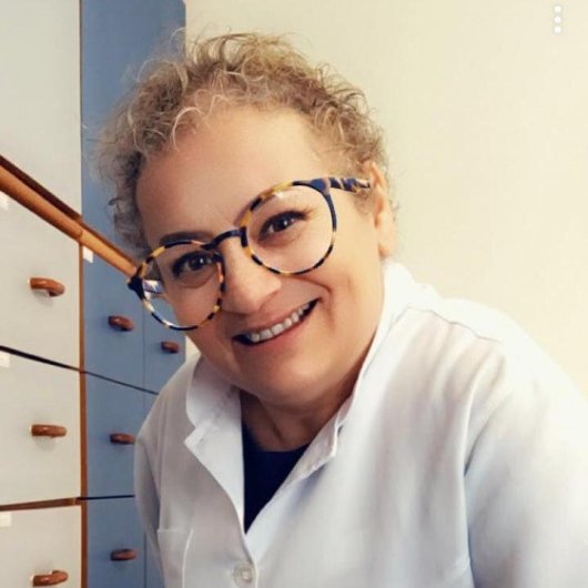 Roseli Vieira