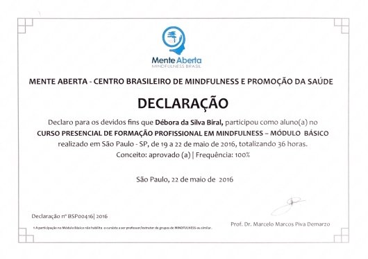 Debora da Silva Biral