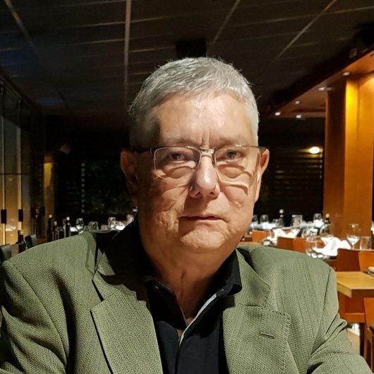 Prof. Alexandre V Brick