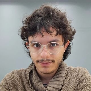 Pedro Henrique da Hora Campos