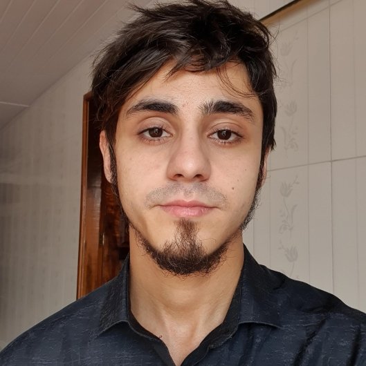 Prof. Geraldo Sanson de Castilho