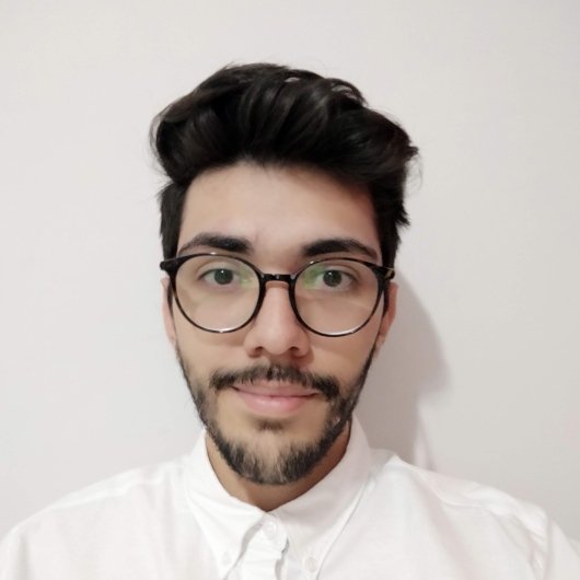 Pedro Henrique Mendes Tavares