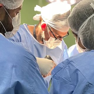 Dr. Luiz Alceu Jamur Dubas