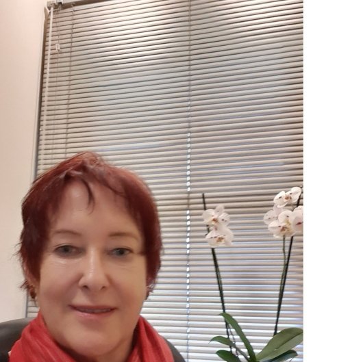 Sandra Elizabeth Bakal Roitberg