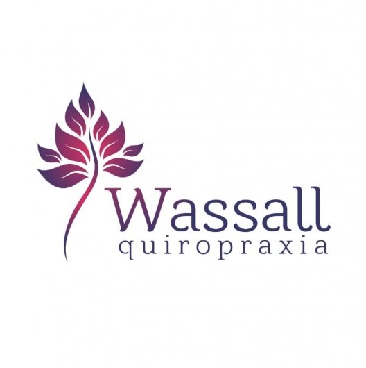 Renata De Campos Wassall