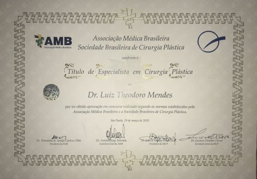 Dr. Luiz Theodoro Mendes