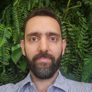 Dr. Vitor Antonio Valente dos Santos