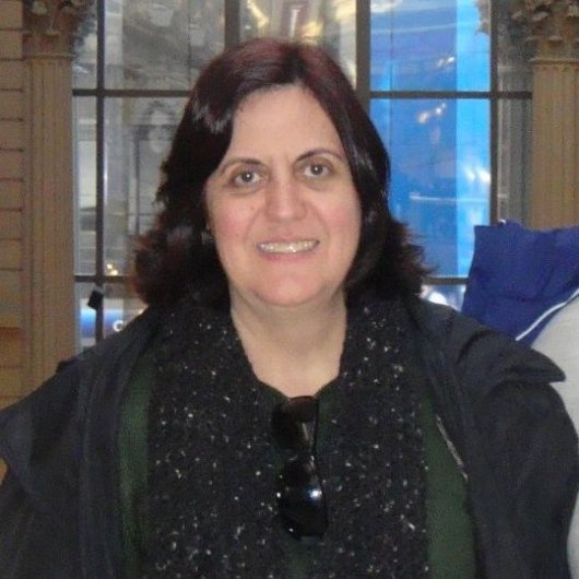 Maria Ines Costa Geraldes