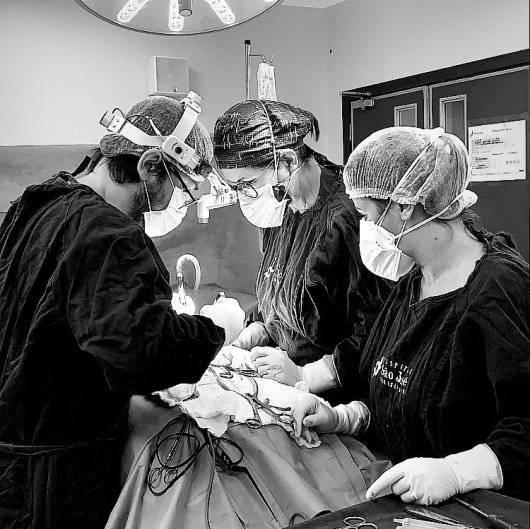 Dr. Ari Boulanger Scussel Junior