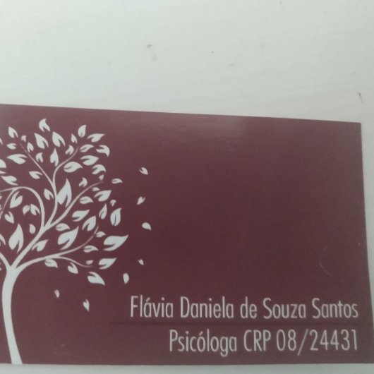 Flávia Daniela S. Santos