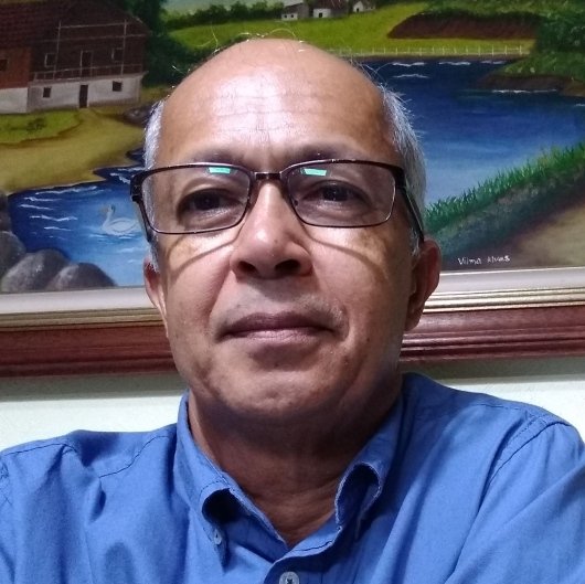 Flavio Alves da Silva